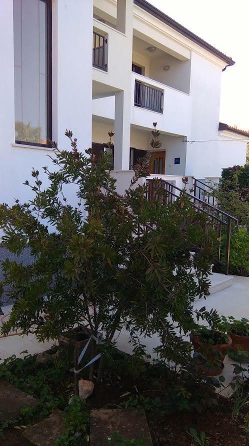 Appartement Stella Marina à Umag Extérieur photo