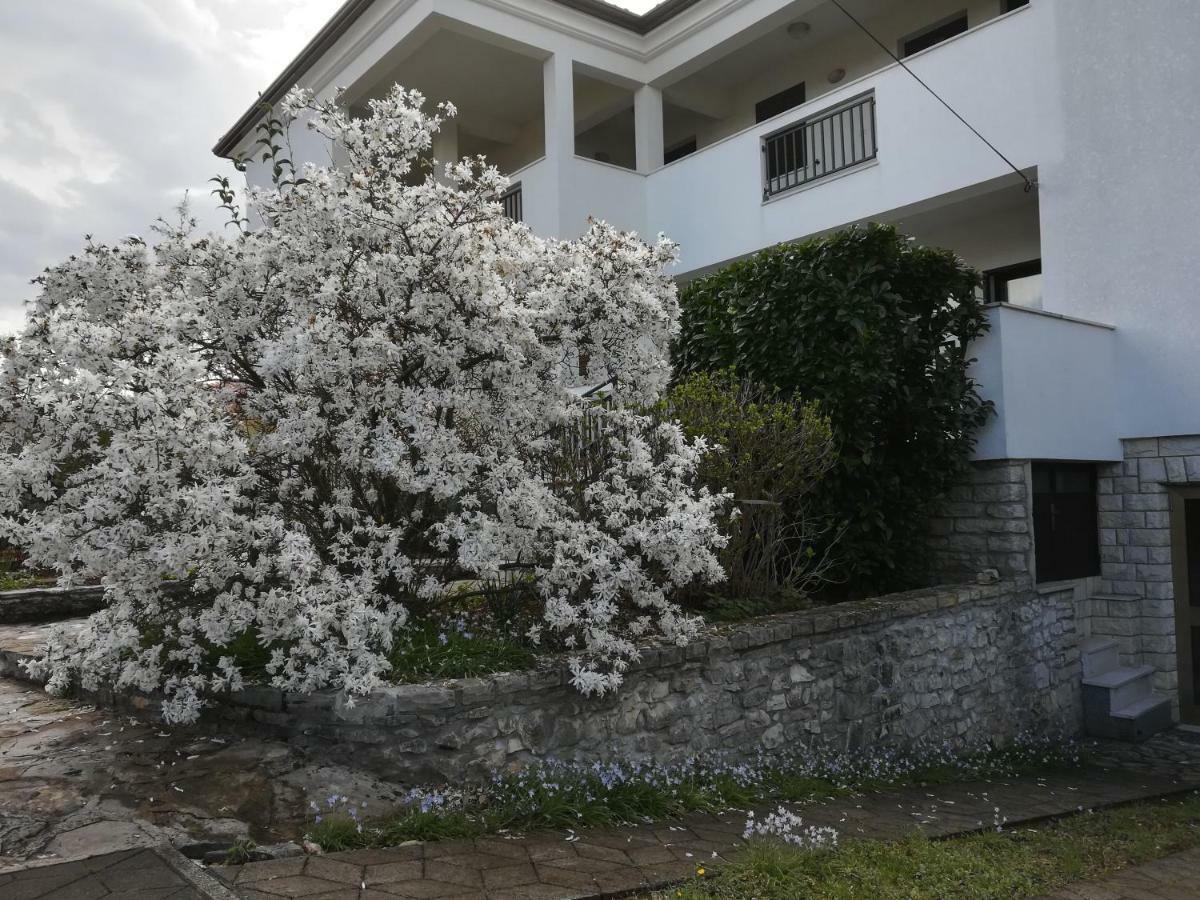 Appartement Stella Marina à Umag Extérieur photo